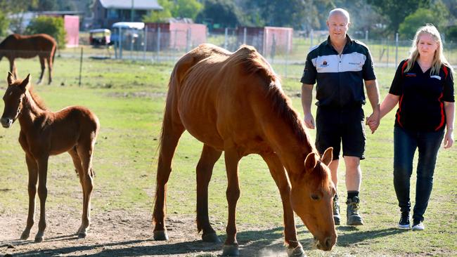 Margaret and Denis Uildriks could see the acquisition of their homes over the next 20 years for sporting fields. (AAP Image / Angelo Velardo)