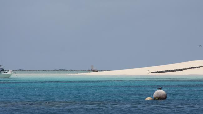 A Cairns couple have been ordered to pay $1501.40 by a Cairns court for taking their kelpie onto Michaelmas Cay. Picture: Supplied