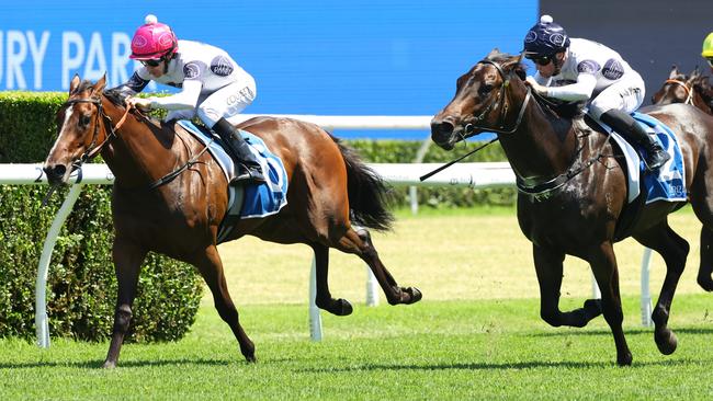 SYDNEY, AUSTRALIA - DECEMBER 14: Jason Collett riding Within The LawÃ¢â¬â¹ wins Race 5 Inglis Nursery during Sydney Racing at Royal Randwick Racecourse on December 14, 2024 in Sydney, Australia. (Photo by Jeremy Ng/Getty Images)