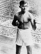 Gympie boxer Archie Bradley known as the “Gympie Whirlwind” or “Gympie Tornado” put the Gold City into the record books in the 1920s.