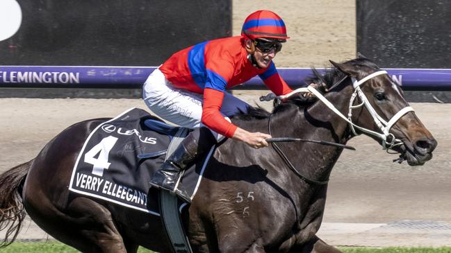 Champion mare Verry Elleegant won the 2021 Melbourne Cup for Ozzie Kheir and his fellow owners. Picture: Racing Photos