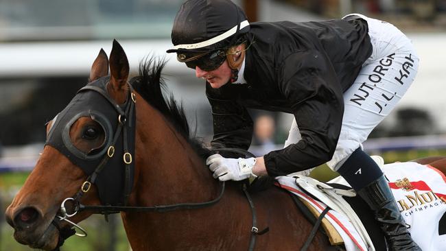 Token Spirit was one of Jamie Kah’s two winners at Flemington last Saturday. Picture: Getty Images