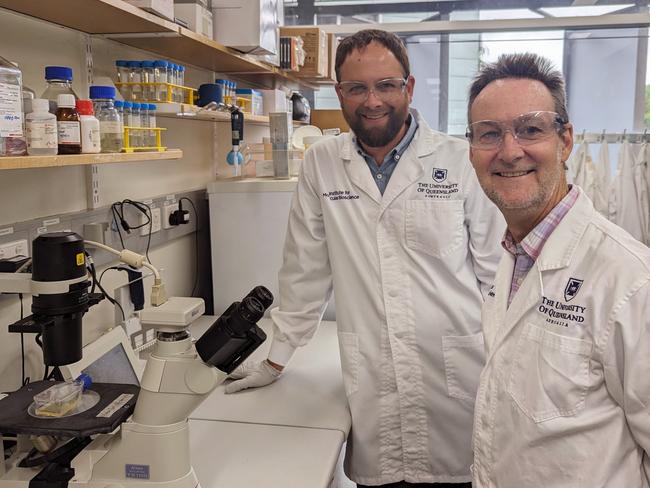 Prof Nathan Palpant and Prof Glenn King from the University of Queensland undertaking the world-first research on funnel-web spider venom. Picture: Supplied