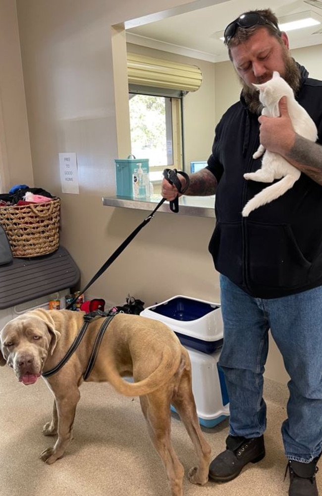 Port Macquarie Animal Shelter Celebrates 1000 Adoptions Daily Telegraph