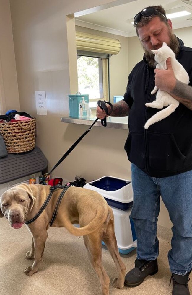 The 999 and 1000th adoption at the Port Macquarie Animal Shelter with Rob Graham taking on little kitten Jill and big Neapolitan Mastiff Barney.