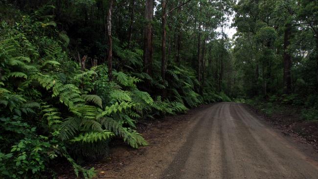 One of the dirt roads where police special forces were searching for Malcolm Naden.