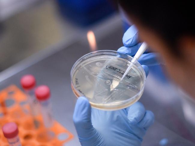 (FILES) In this file photo taken on March 26, 2020 A researcher works on the development of a vaccine against the new coronavirus COVID-19, in Belo Horizonte, state of Minas Gerais, Brazil. - Brazil is in the forefront of vaccines for the new coronavirus, testing in large scale and preparing for the production of millions of dosis. On the other hand from Europe of China, the virus is expanding in the country which is second in the world in number of cases after the United States, an ideal situation to test the effectivity of a vaccine. (Photo by DOUGLAS MAGNO / AFP)