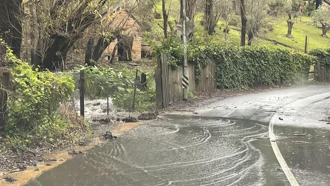 Flooding on Waterfall Gully Rd on Friday, June 23, 2023. Picture: Kara Jung