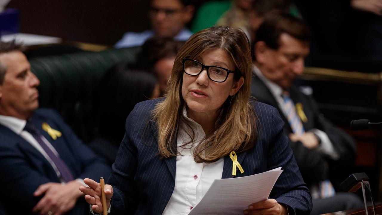 NSW Industrial Relations Minister Sophie Cotsis said there was ‘no doubt mental health is a societal issue’. Picture: NewsWire / Nikki Short