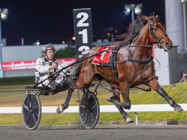 Champion pacer Leap To Fame. Picture: Dan Costello