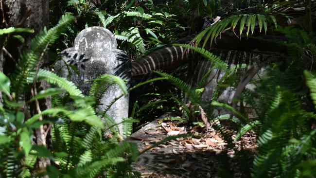 Damaged graves behind dense bushland. Picture: Liana Walker