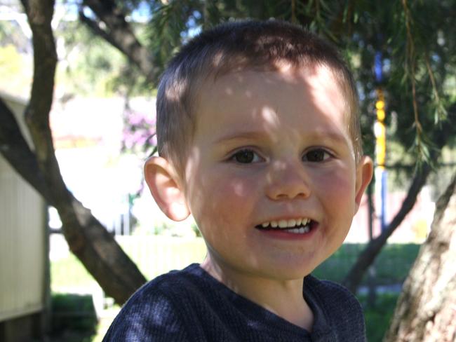 William Tyrrell went missing in September 2014.