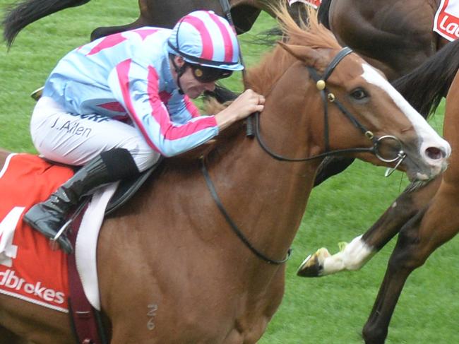 Heart Of Puissance ridden by John Allen wins the Quest Moonee Valley Handicap at Moonee Valley Racecourse on November 01, 2019 in Moonee Ponds, Australia. (Ross Holburt/Racing Photos via Getty Images)