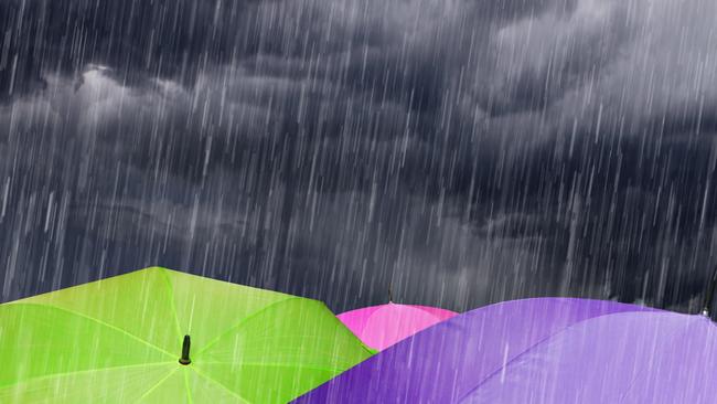 Dust off your umbrella for the week ahead as rain is predicted to fall in the region.