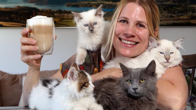 Jackie Moureau opened the Gold Coast’s first cat cafe. Pic by Richard Gosling