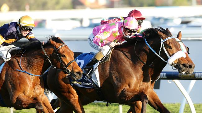Caulfield Races Race 9 Kenjorwood (no3) centre ridden by Regan Bayliss wins Race 9 ahead of Jacquinot (no4) and Extra Nobel (no14) Picture: Norm Oorloff