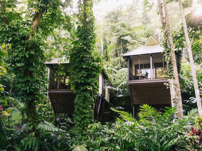 Property bliss: Daintree Ecolodge up for sale