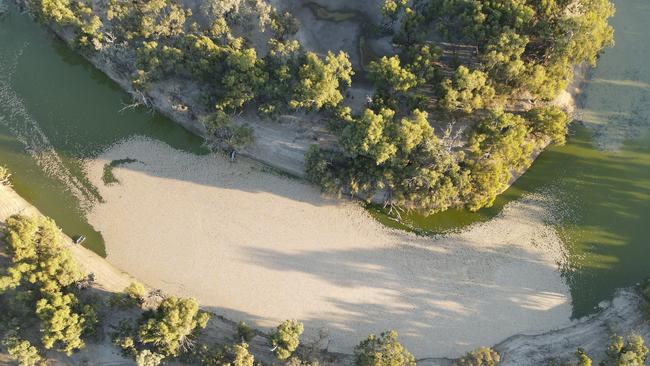 Fish kills at Menindee this month. Picture: Michael Minns