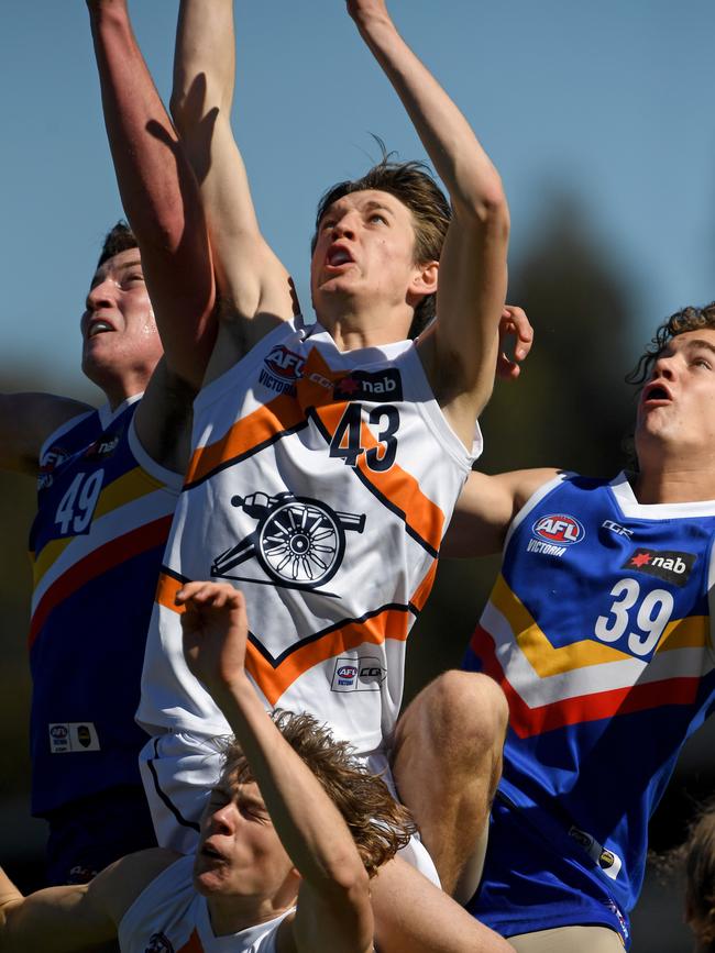 Lachlan Gollant in action for Calder Cannons. Picture: Andy Brownbill