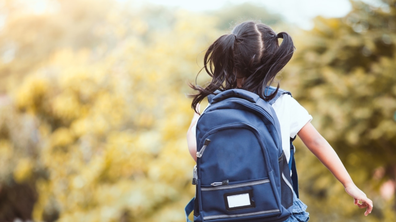 Education sector 'cannot force' girls to take up STEM topics