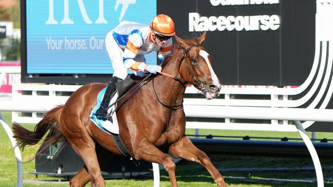 Maturing filly Elphinstone notched her secod career win in the VOBIS Platinum Guineas at Caulfield on Saturday. Picture: George Sal/Racing Photos via Getty Images