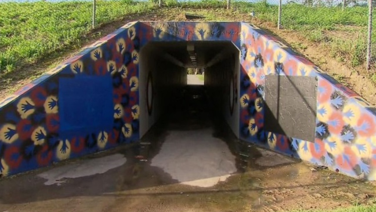 The girl was allegedly slashed in this pedestrian tunnel. Picture: Channel 9