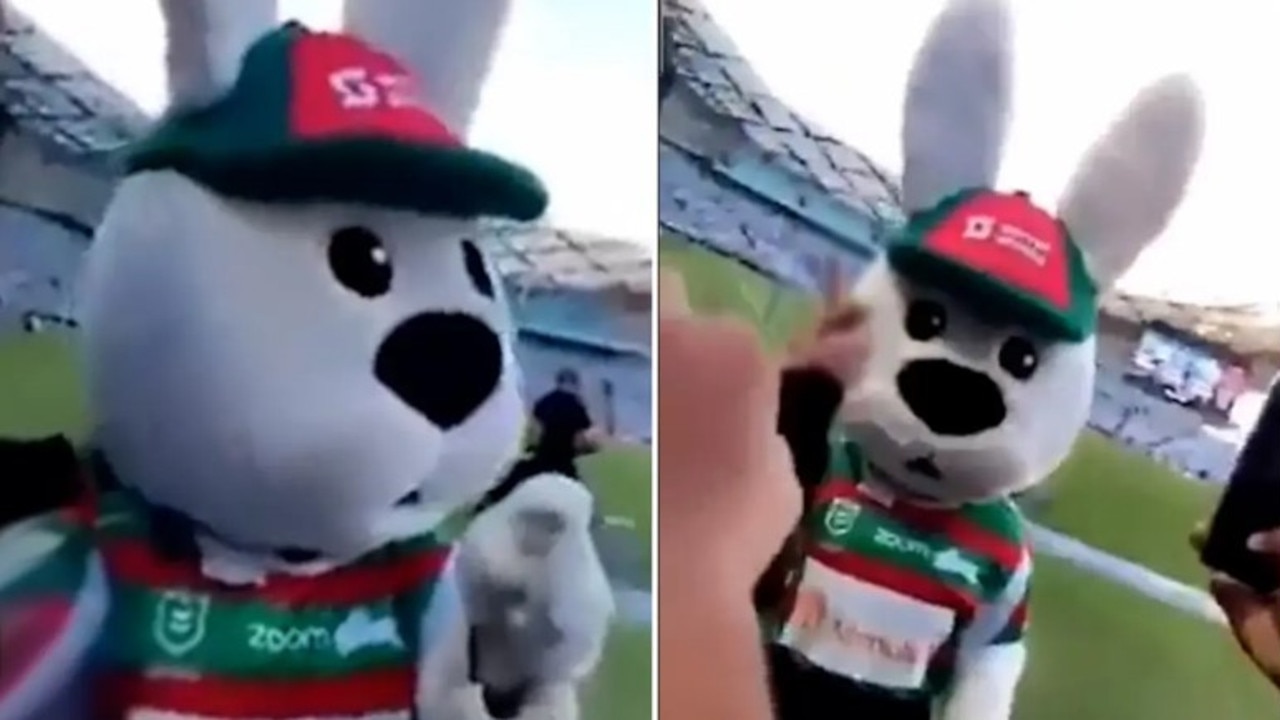 Reggie the Rabbit gets attacked by fans in 2021: Photo: Nine.