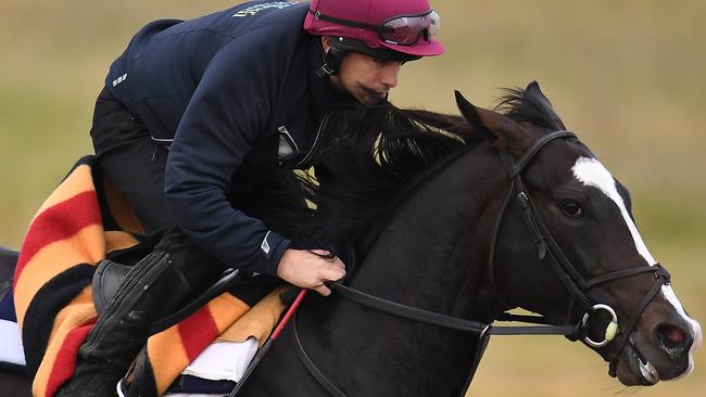 Yucatan is a worthy Cup favourite after his dazzling win in the Herbert Power Stakes. Picture: AAP