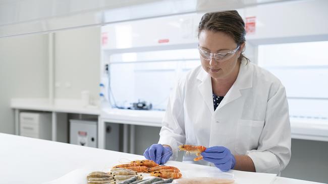 Jenna Valentin, head of operations at Source Certain, carries out forensic tests on prawns sold by Australian retailers.