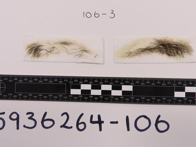 The second set of eyebrows found by police during a raid.