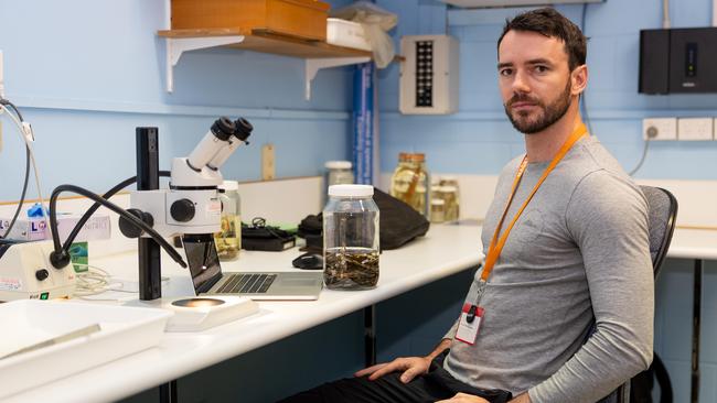 Reptile scientist and PhD candidate Jules Farquhar of Monash University is in Darwin to research the Six-toothed Rainbow Skink. Picture: Pema Tamang Pakhrin