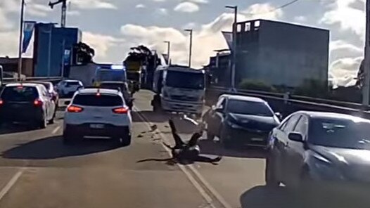 The man lands sprawled on the ground following the horror crash. Picture: Dash Cam Owners of Australia