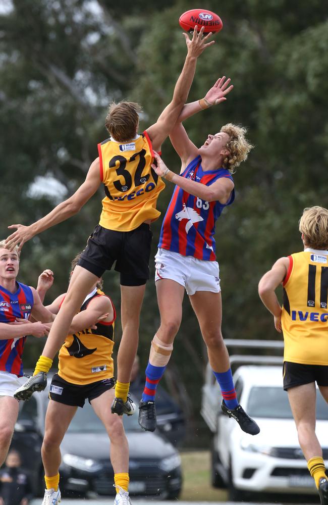 Blake Kupiers in the ruck for Dandenong Stingrays against Jacob Woodfull of Oakleigh Chargers. Picture: Stuart Milligan