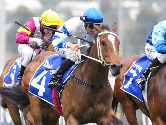 Karavas ridden by Jake Toeroek wins the Darley Ottawa Stakes at Flemington Racecourse on November 09, 2023 in Flemington, Australia. (Photo by Scott Barbour/Racing Photos via Getty Images)