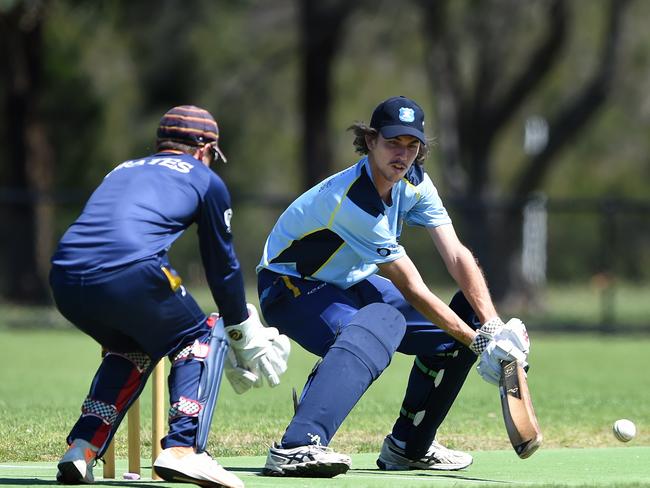 Mornington Peninsula Cricket clearances crank up