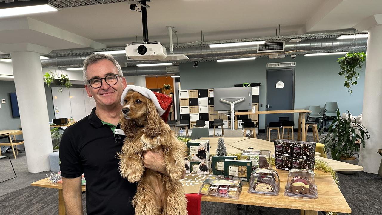 Woolworths Group CEO Brad Banducci and his three-year-old King Charles Cavalier cocker spaniel cross named Juno. Picture: Supplied