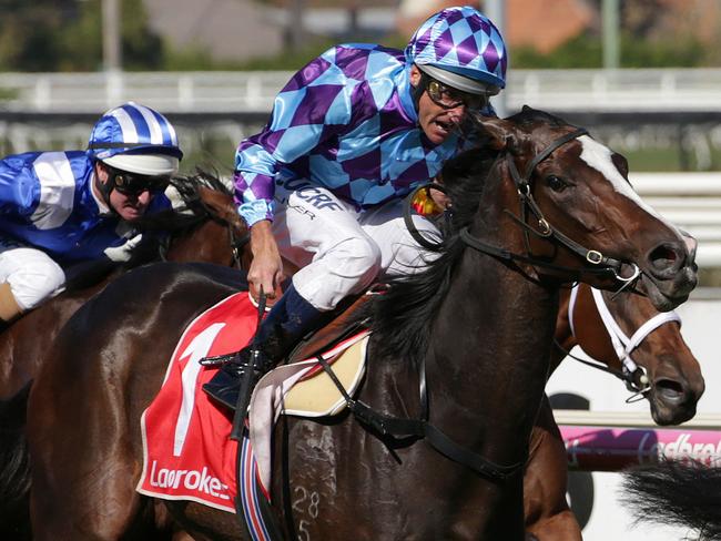 Damien Oliver rides Princess Jenni to victory at Caulfield last month.