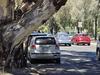 Are these the 5 most dangerous roads in Adelaide for trees?