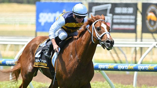 Phillip Stokes won’t be sending Deakin to the Adelaide Cup. Picture: Vince Caligiuri/Getty Images