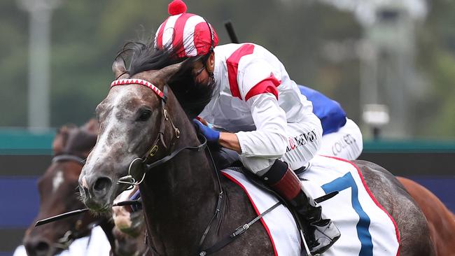 Celestial Legend showed his true ability by storming to victory on the Group 2 Hobartville Stakes at Rosehill. Picture: Getty Images