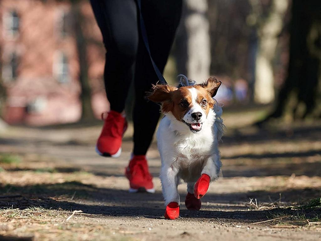 Pawz Red Water-Proof Dog Boot. Picture: Amazon Australia.