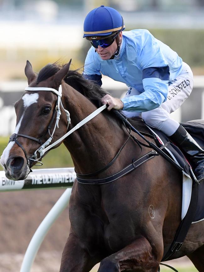 Libran powers to victory in the Kingston Town Stakes at Randwick in September. Photo: Simon Bullard