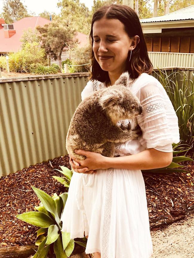 The film’s star Millie Bobby Brown was Brisbane on Saturday, when she shared a photo of herself cuddling a koala. Photo: Instagram @milliebobbybrown