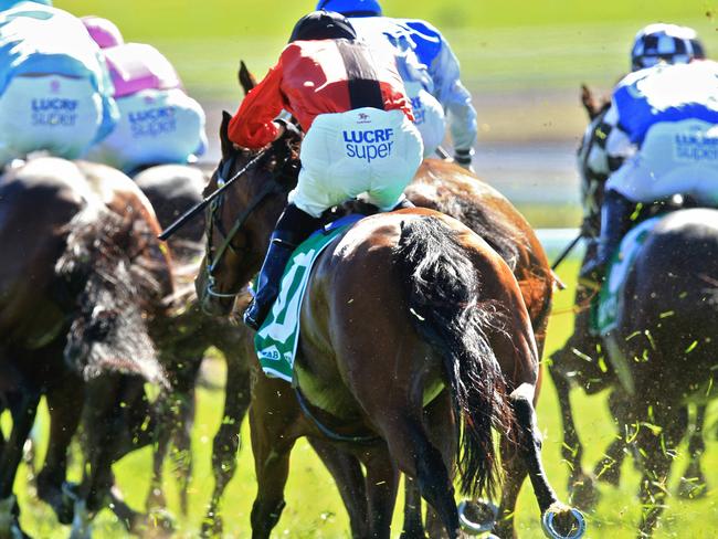 The Queensland Winter Carnival comes to an end with Caloundra Cup Day on the Sunshine Coast. Picture: Jenny Evans
