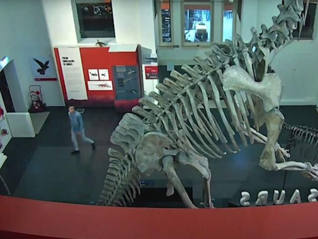 CCTV captures Kuhn inside the Australian Museum. Picture: Supplied