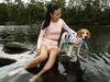 Dog drownings – the silent tragedy