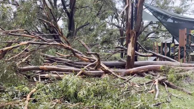 Trees down on ANZAC Road Park (Birdwood Road), Carina Heights. Picture Higgins Storm Chasers/Peter