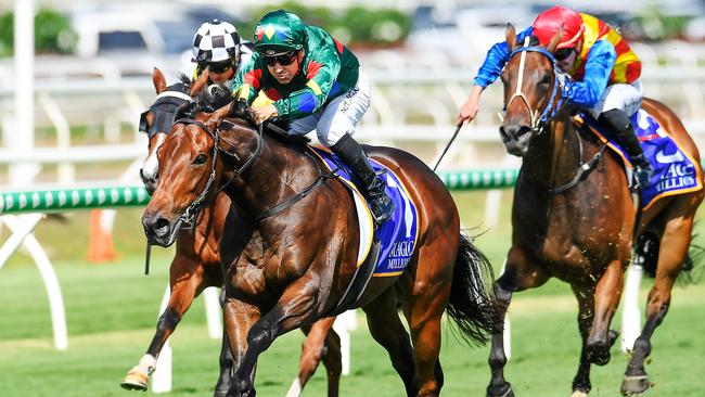 Alligator Blood is a dominant favourite for the Magic Millions Guineas. Picture: AAP