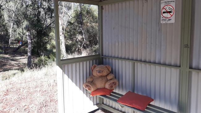 Cushions and a teddy warm up this cheerless shelter.