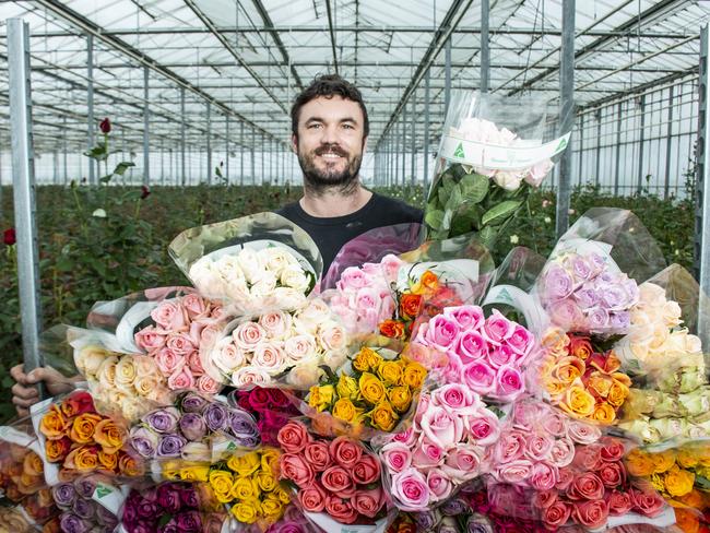 Michael Allen, Bloomin' Koomen manager, Pakenham, with roses grown in their glass house than now have an Australian Grown logo on the packaging. Photo: DANNIKA BONSER